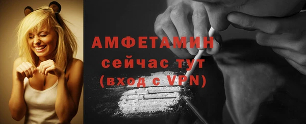 дурь Бородино