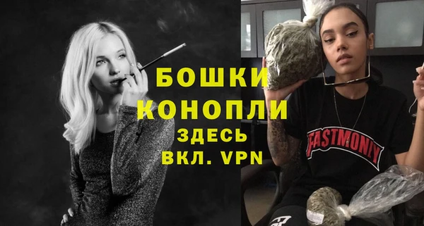 PSILOCYBIN Белокуриха