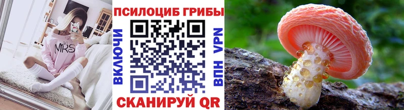Галлюциногенные грибы Psilocybine cubensis Верхняя Пышма