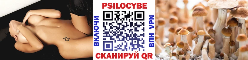 Псилоцибиновые грибы Magic Shrooms  как найти закладки  Верхняя Пышма 